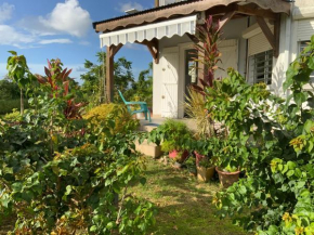 Villa l'Exotik